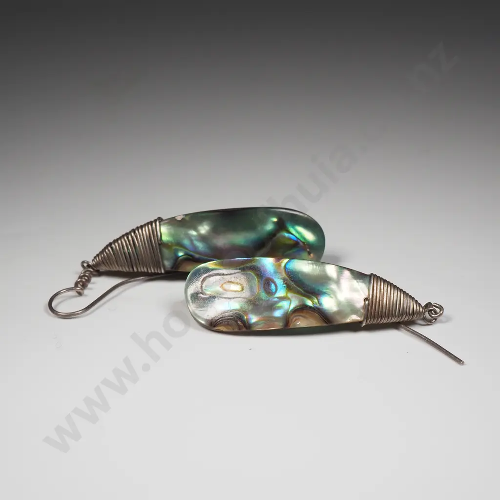 Paua Shell Earrings Image 1++