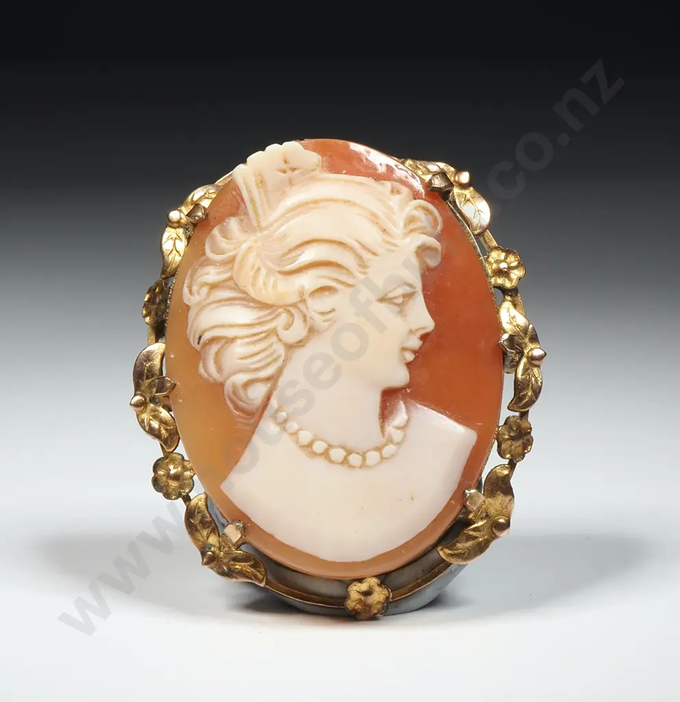 Oval Cameo w 9ct Gold Lined Frame  Image 1++