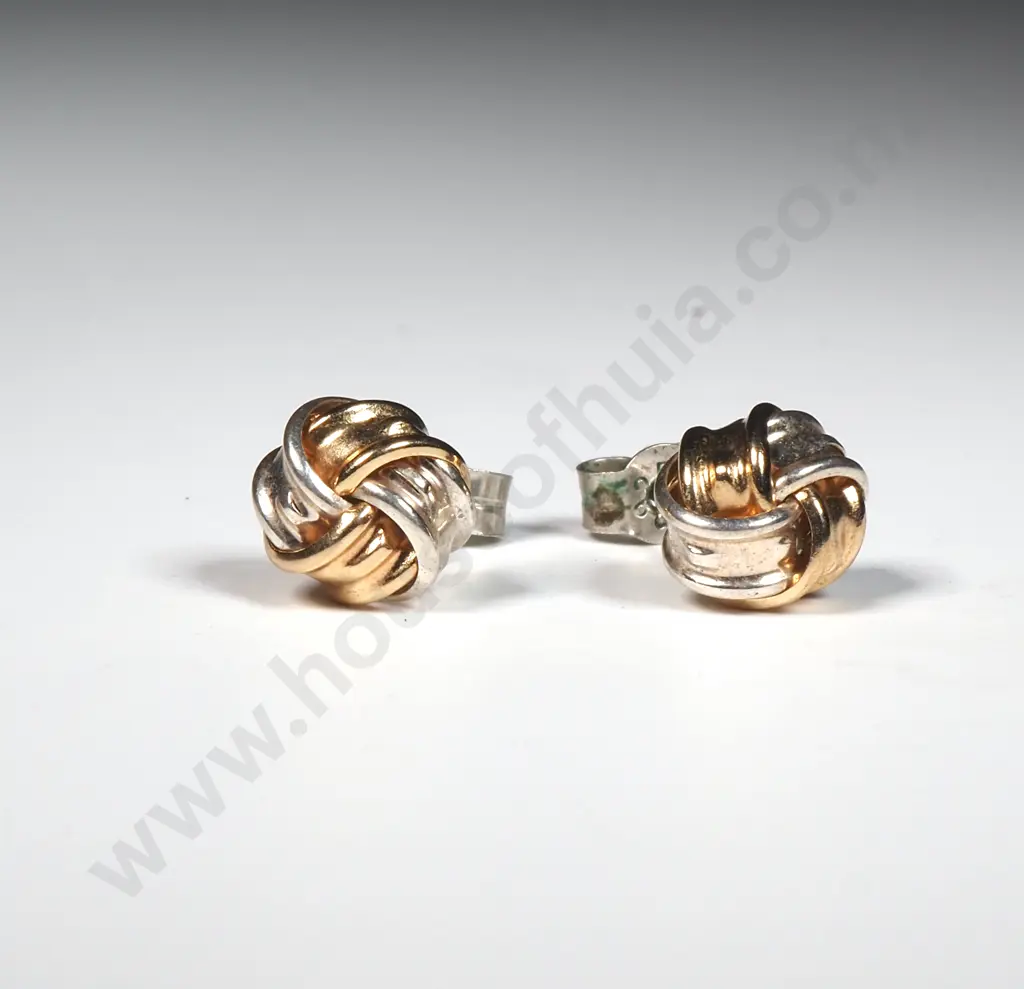 9ct White & Yellow Gold earrings Image 1++