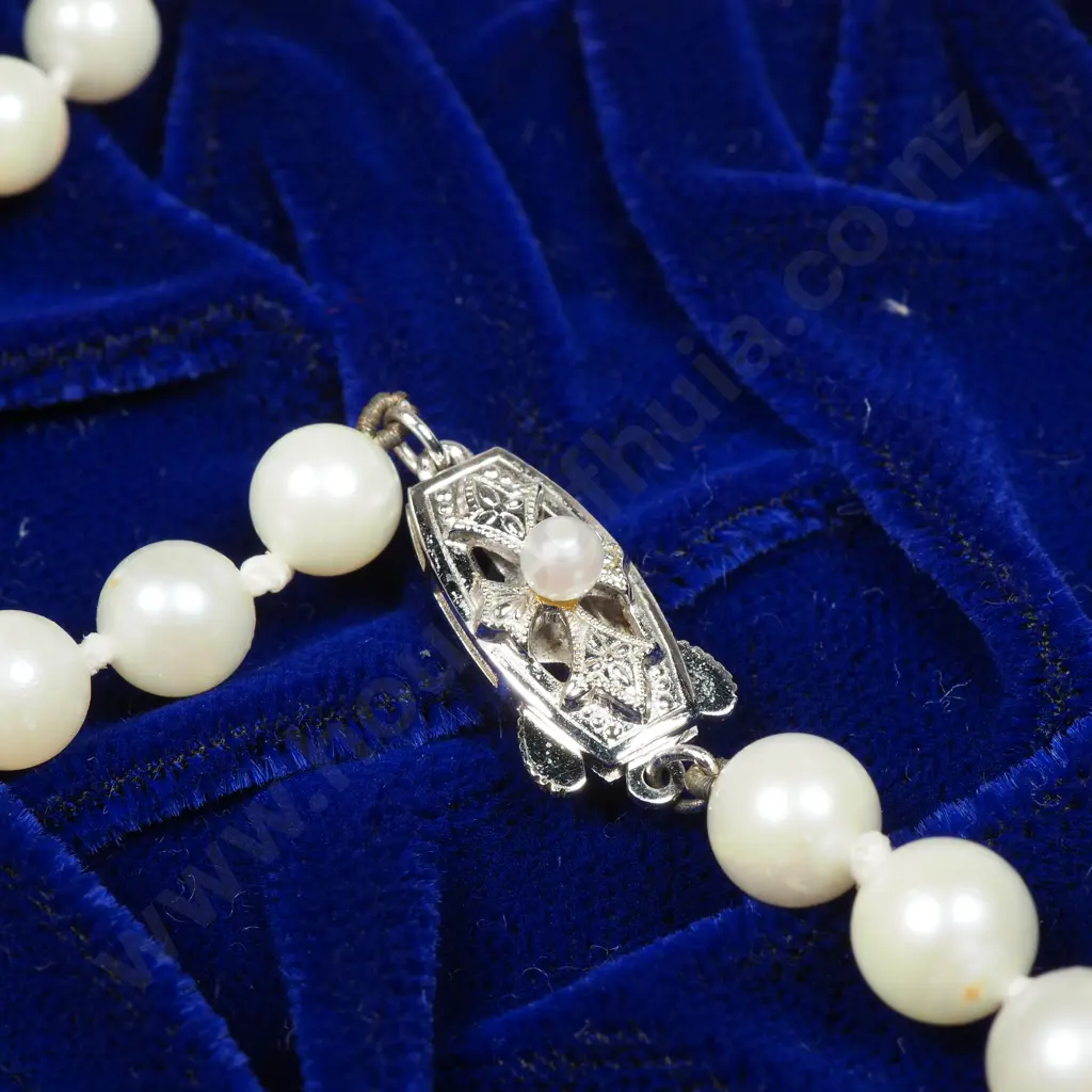 Cased Nishimoto Pearl Necklace w Sterling Silver Clasp Image 1++