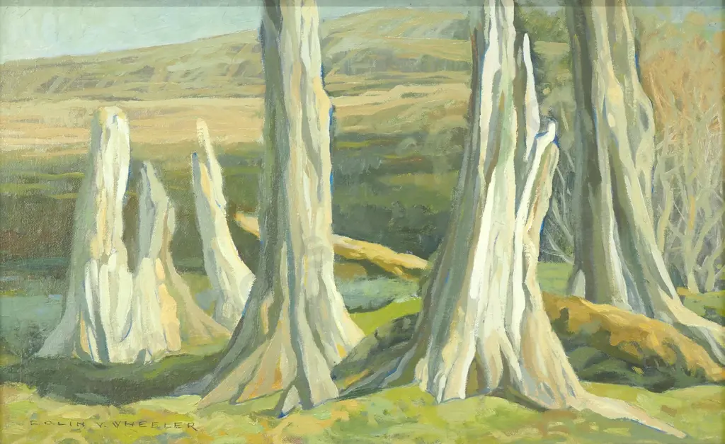 Colin Wheeler 'Tree Trunks at Corrideale, North Otago', Oil on Canvas Board Image 1++