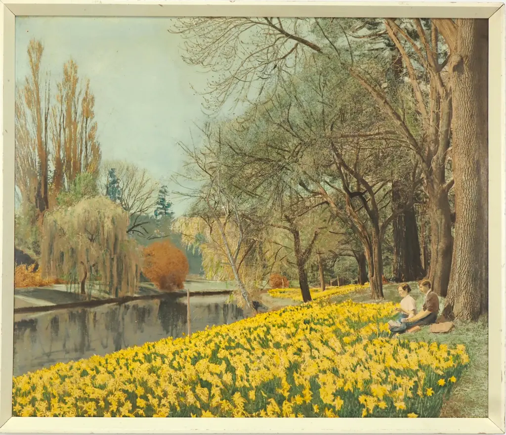 Unknown - Daffodil Display, Avon River, Hand Coloured Photograph Image 1++
