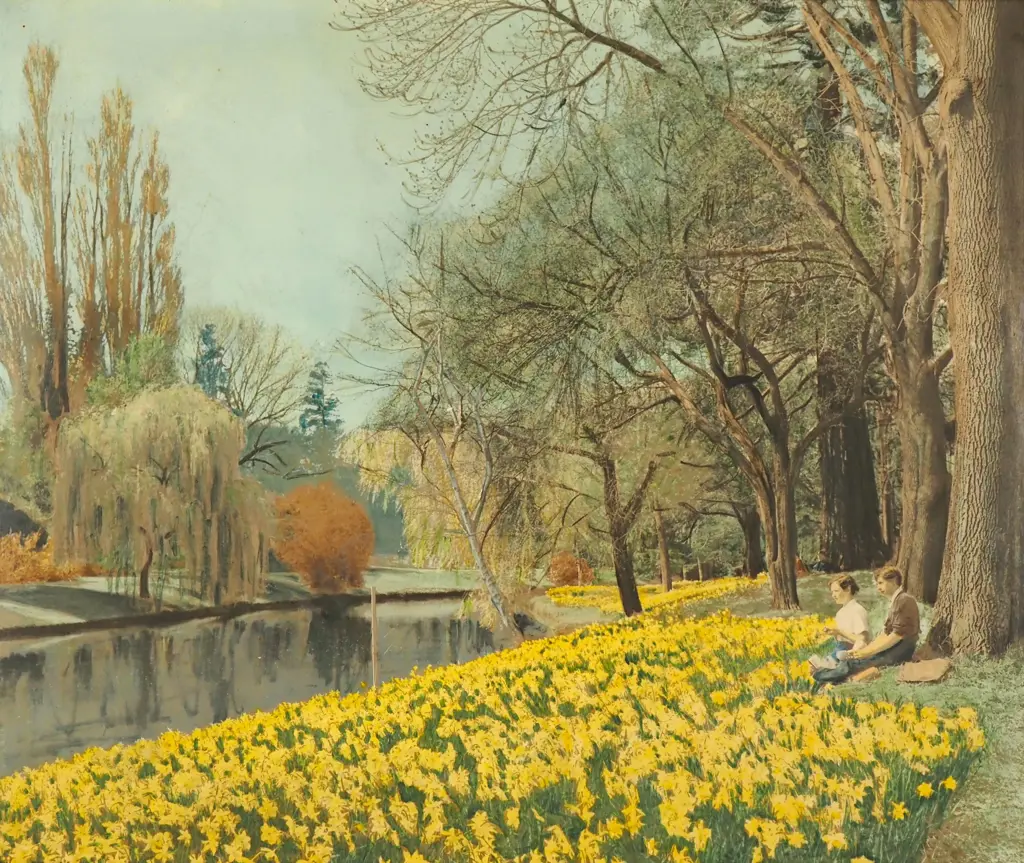 Unknown - Daffodil Display, Avon River, Hand Coloured Photograph Image 1++