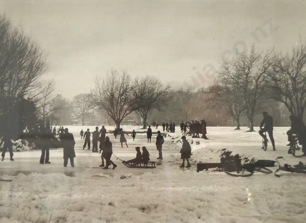 F. R. Lamb - 'One Winter Morning, Hagley Park', Silver Gelatin Photograph Image 1++