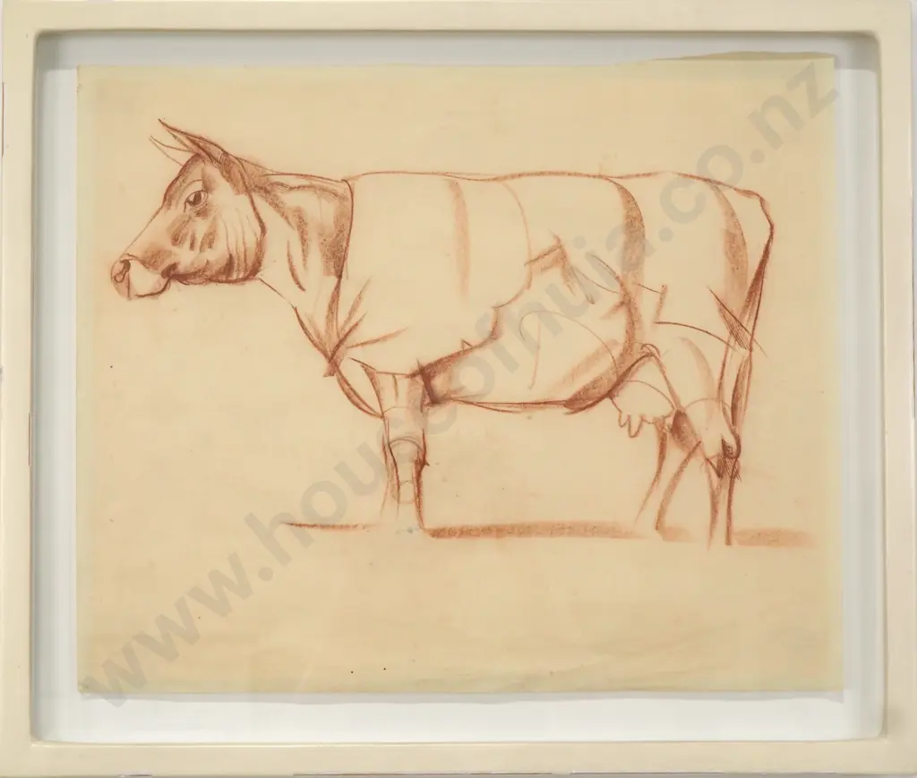 John Weeks - Bovine Study, Conté Image 1++