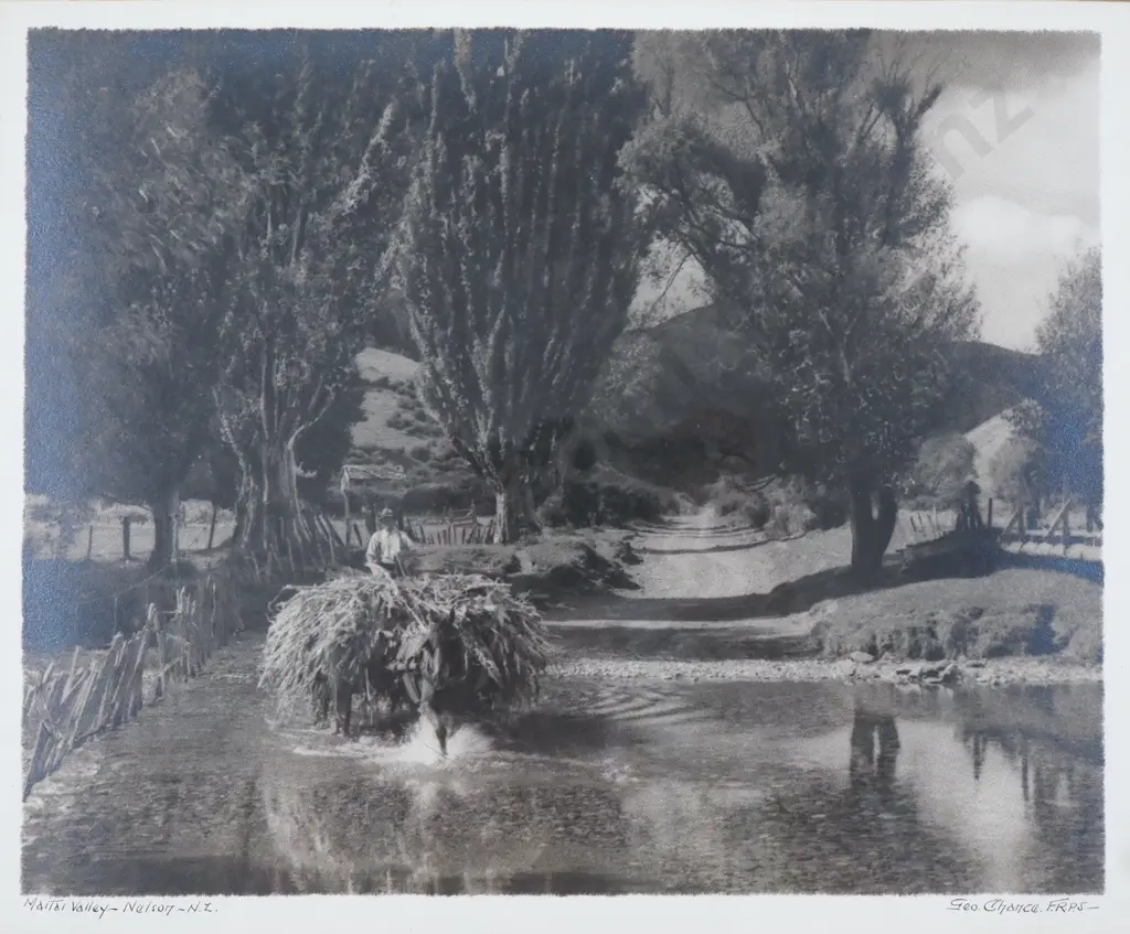 George Chance - 'Matai Valley-Nelson-N.Z.', Silver Gelatin Photograph No.1854 Image 1++