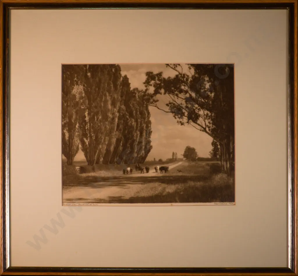 George Chance - Summer Day, South Canterbury, Albumen Silver Photograph Image 1++