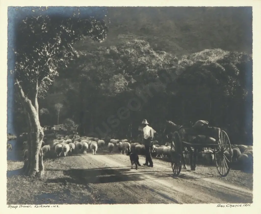 George Chance - 'Sheep Drover- Kaikoura- NZ', Silver Gelatin Photograph Image 1++