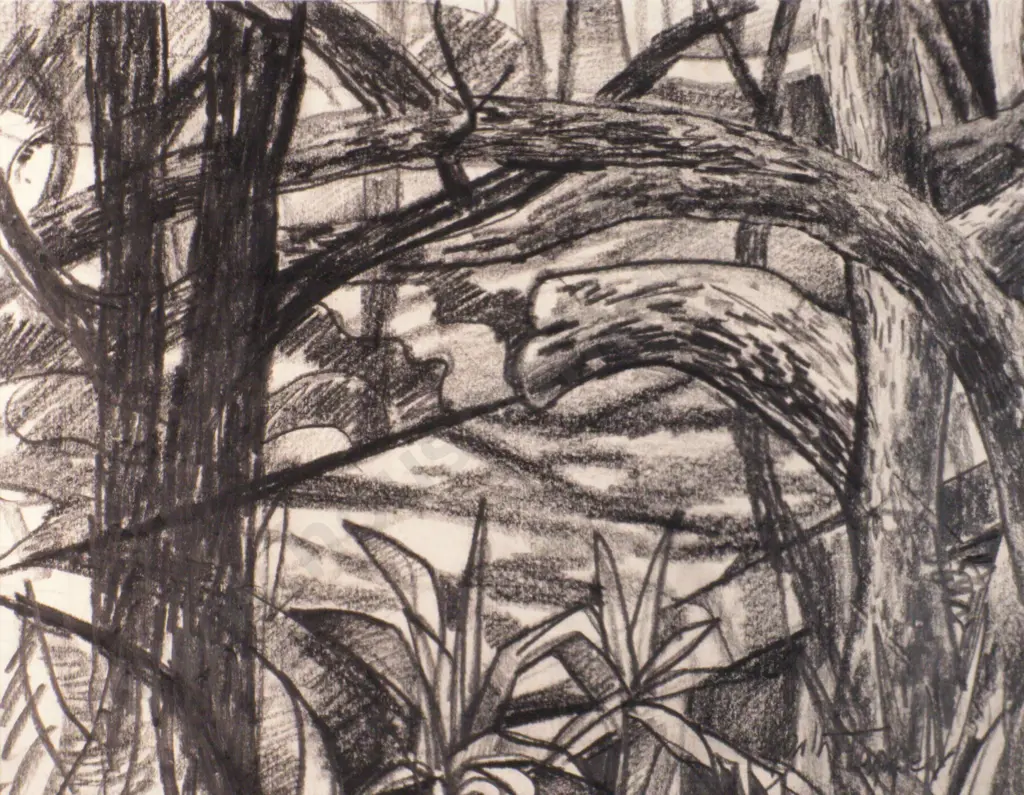 Garth Tapper - Takatu, Charcoal Image 1++