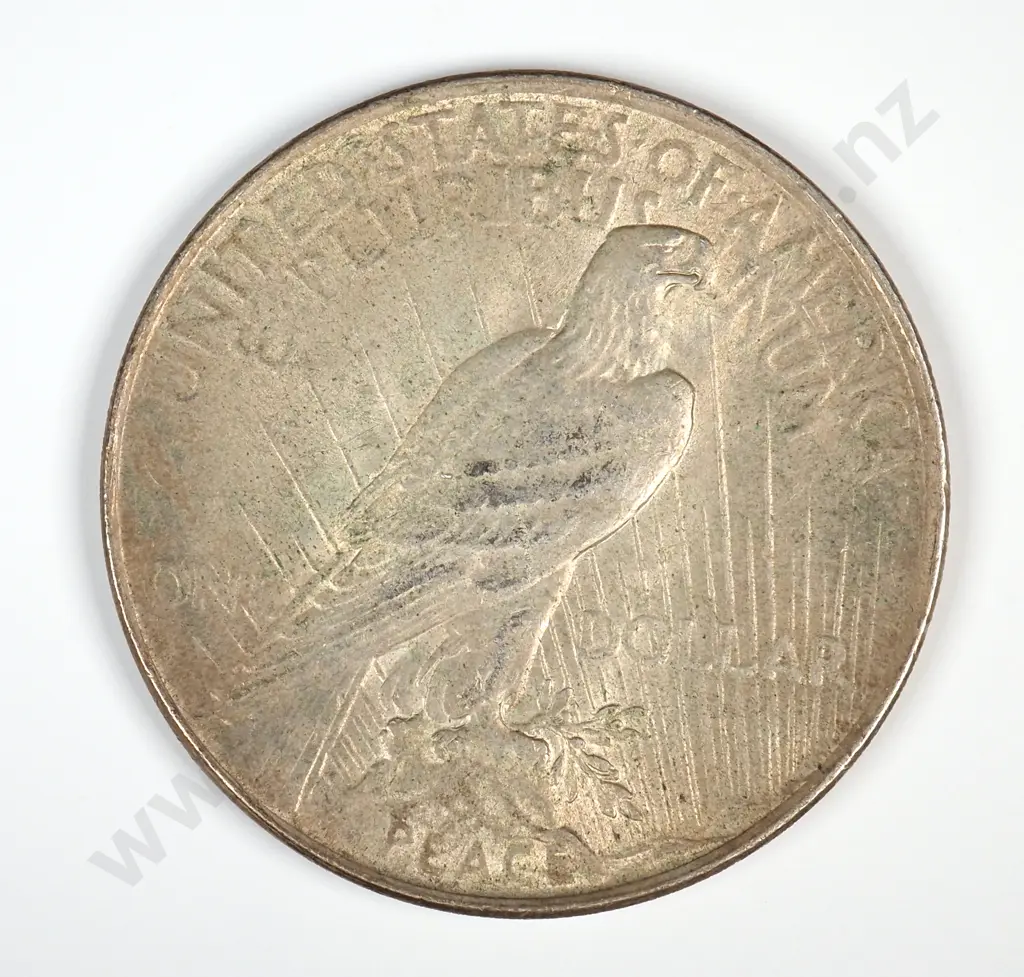 1923 United States of America Liberty One Dollar Coin  Image 1++