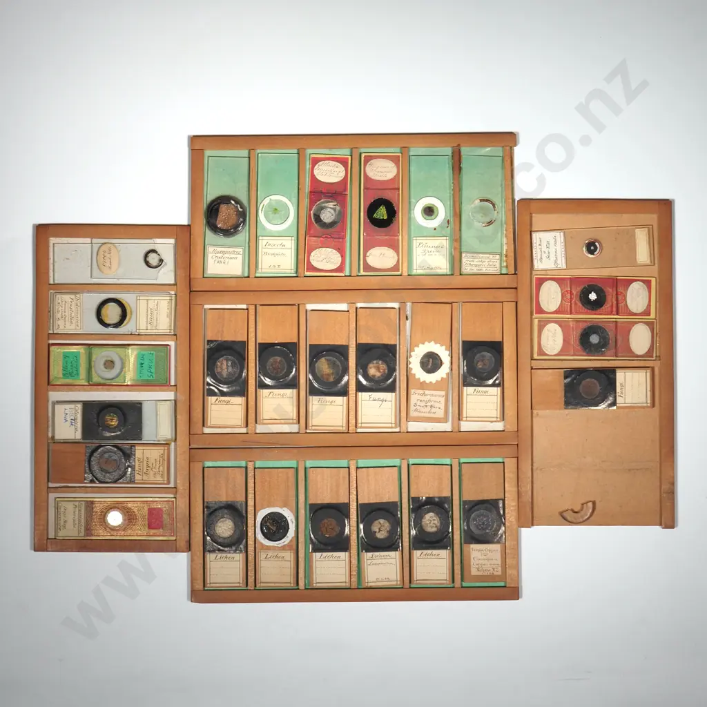 Quantity of Mounted Glass Microscope  Slides Image 1++