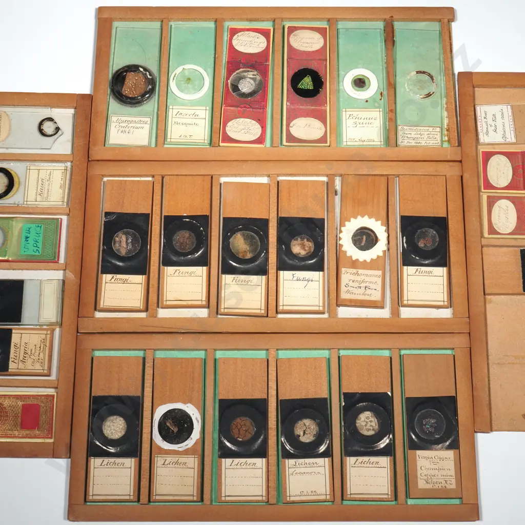 Quantity of Mounted Glass Microscope  Slides Image 1++