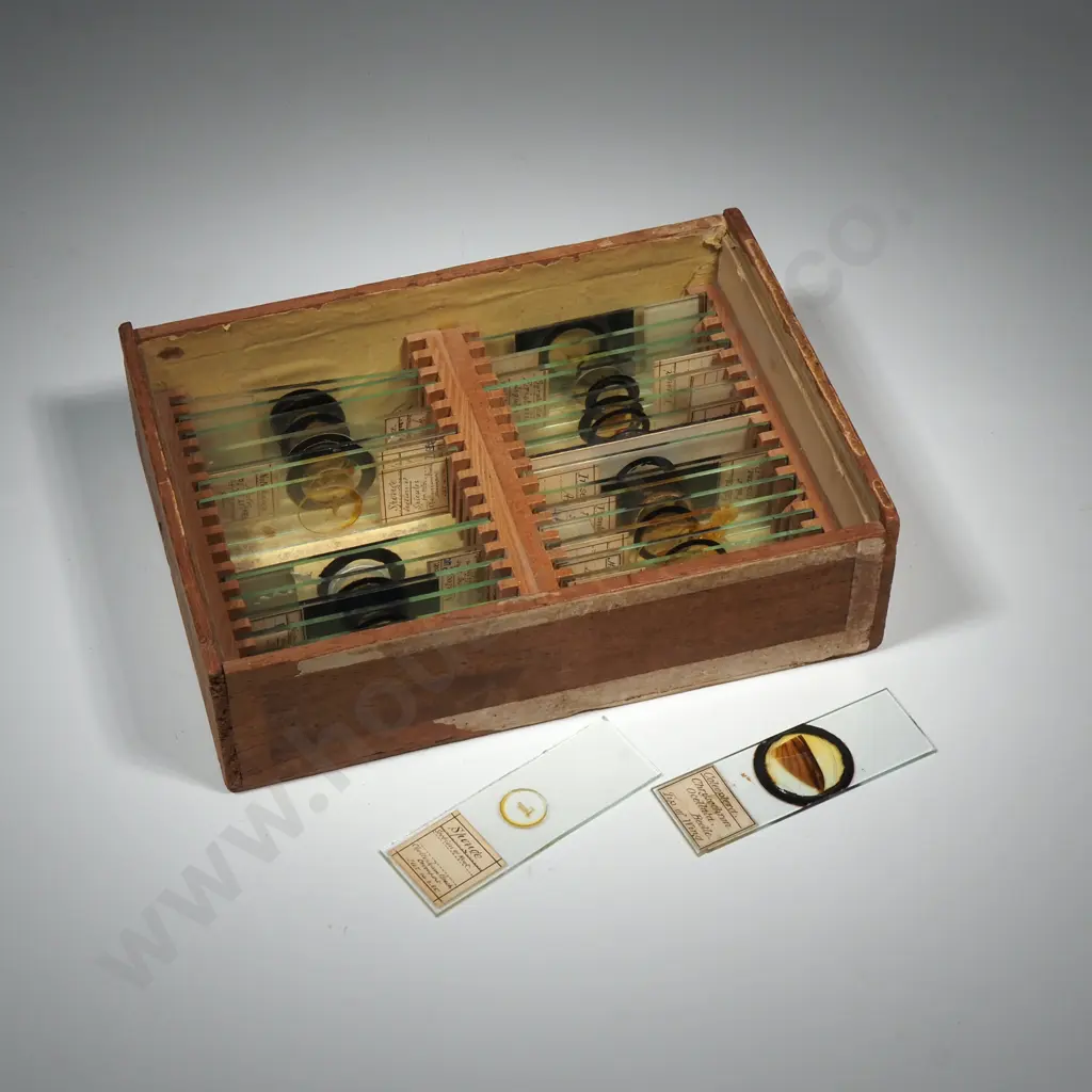 Quantity Of Microscope Glass  Slides w Specimens in Wooden Box Image 1++