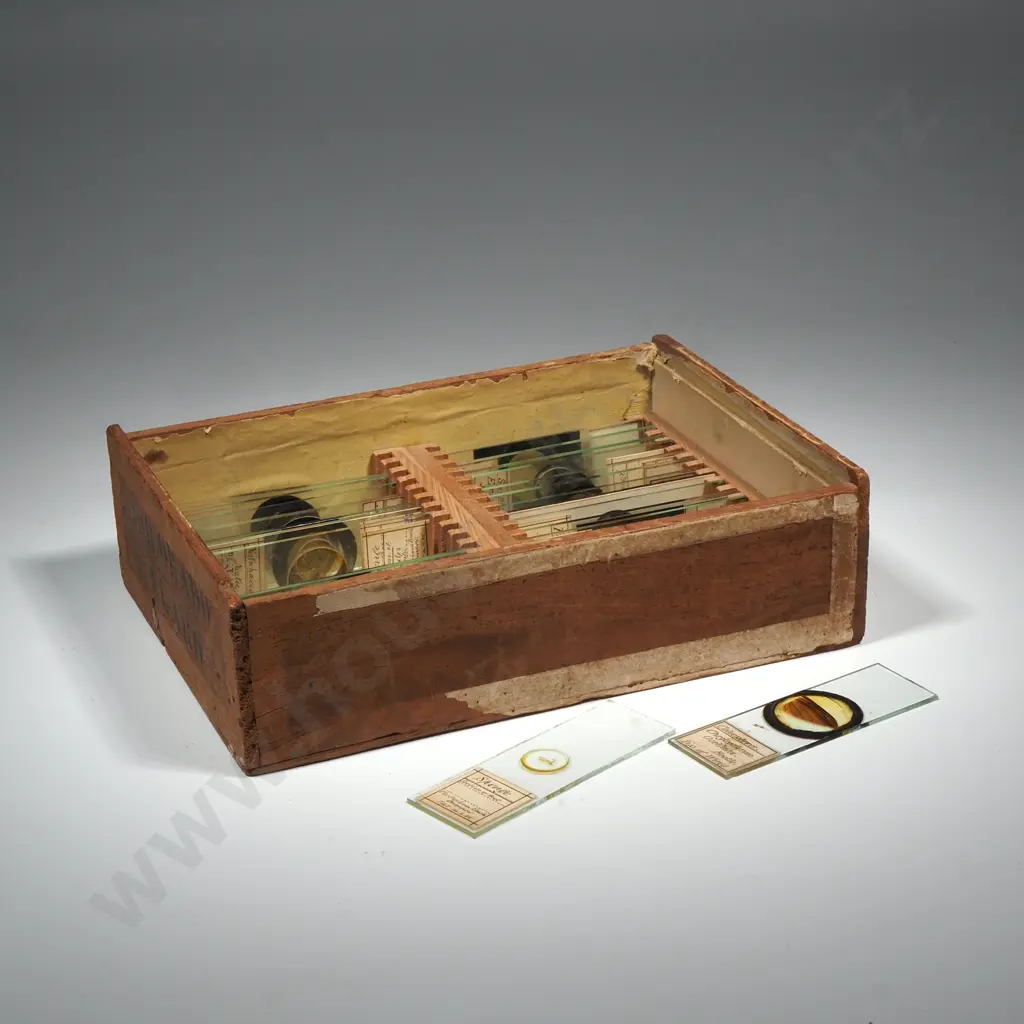 Quantity Of Microscope Glass  Slides w Specimens in Wooden Box Image 1++