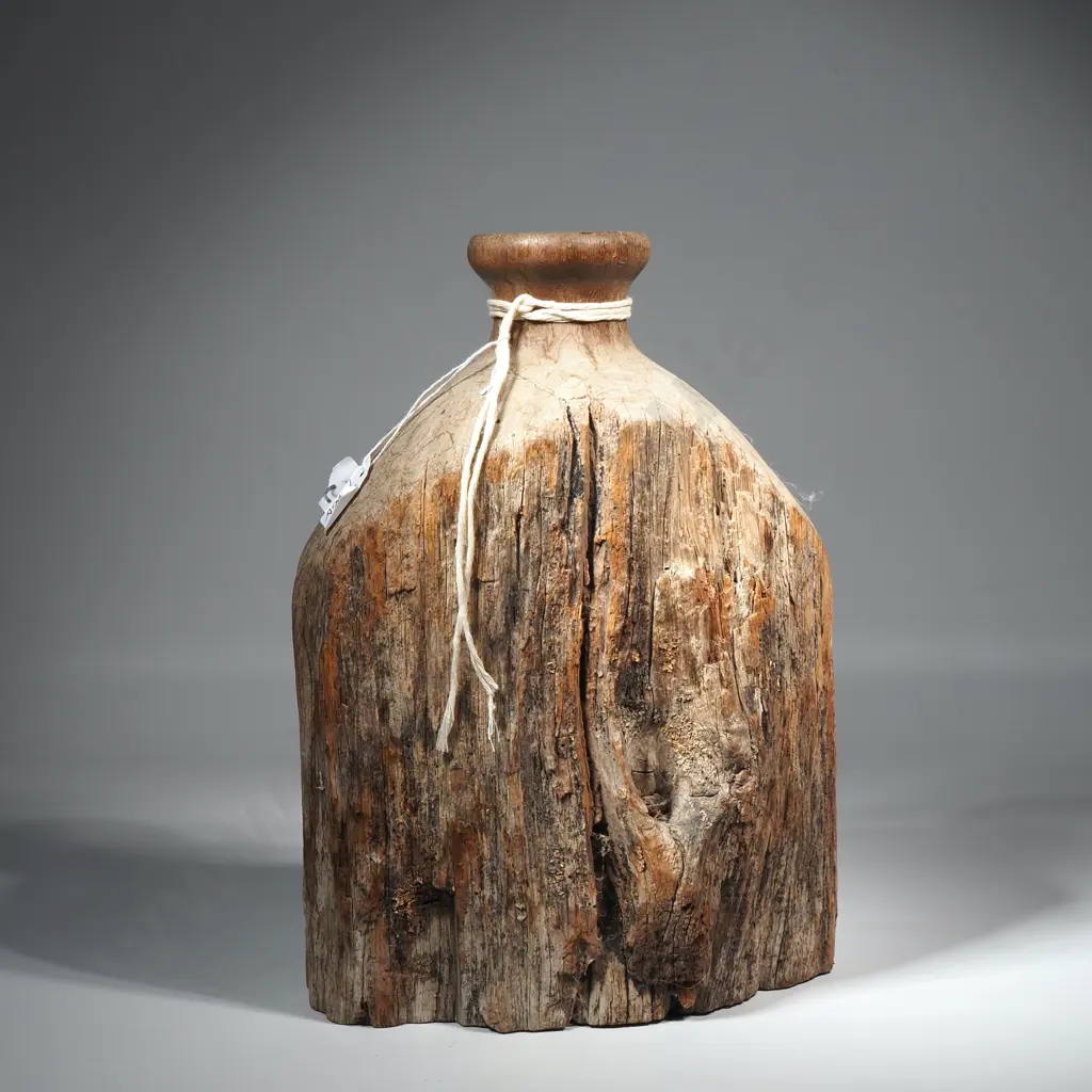 Unusual Driftwood Vase Image 1++