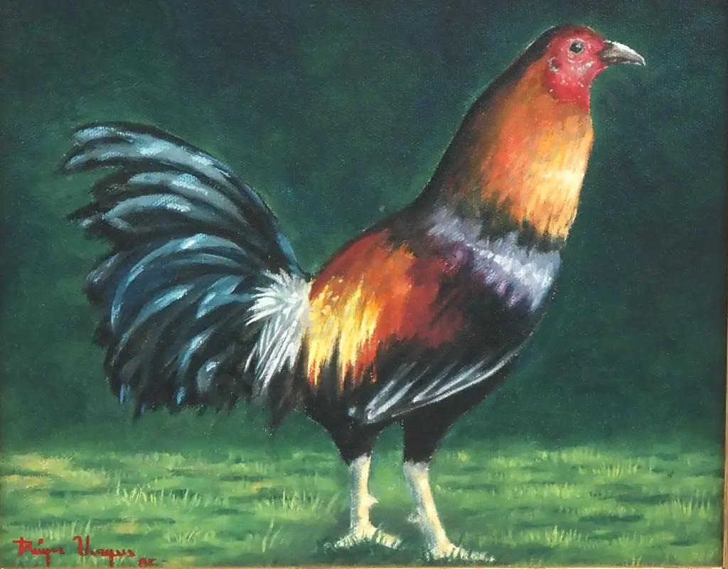 Roger Vargas - Gamecock - Oil - 195mm X 240mm - Signed Image 1++