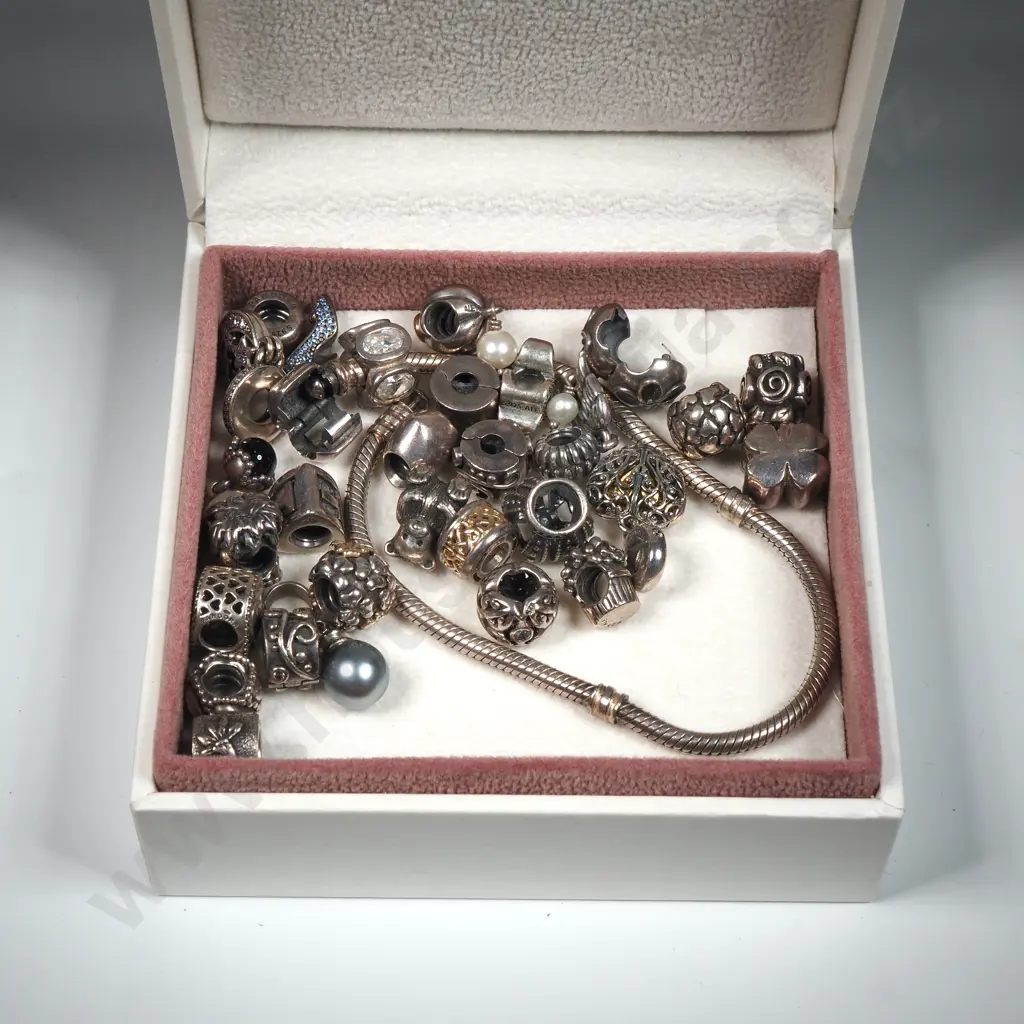 Cased Sterling Silver Pandora Bracelet & Charms Image 1++