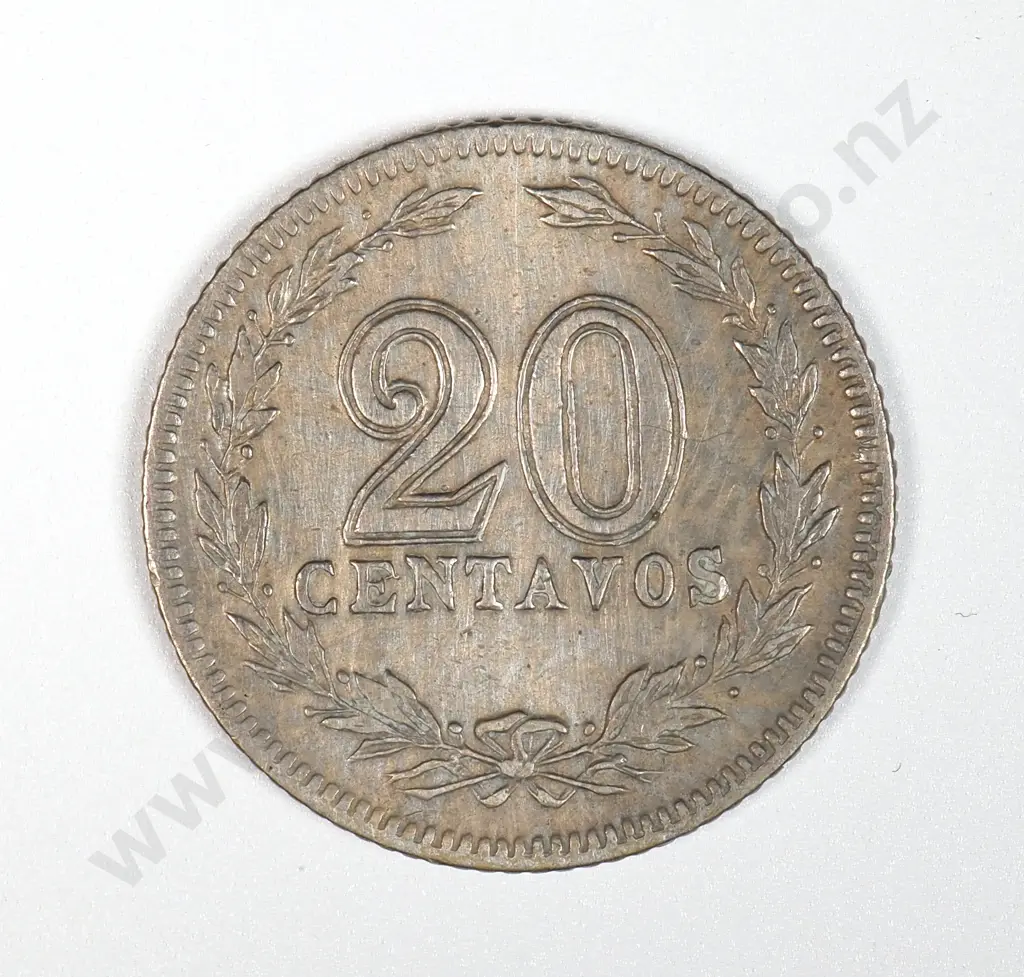 Argentina 1899 20 Centavos, Very Fine Image 1++