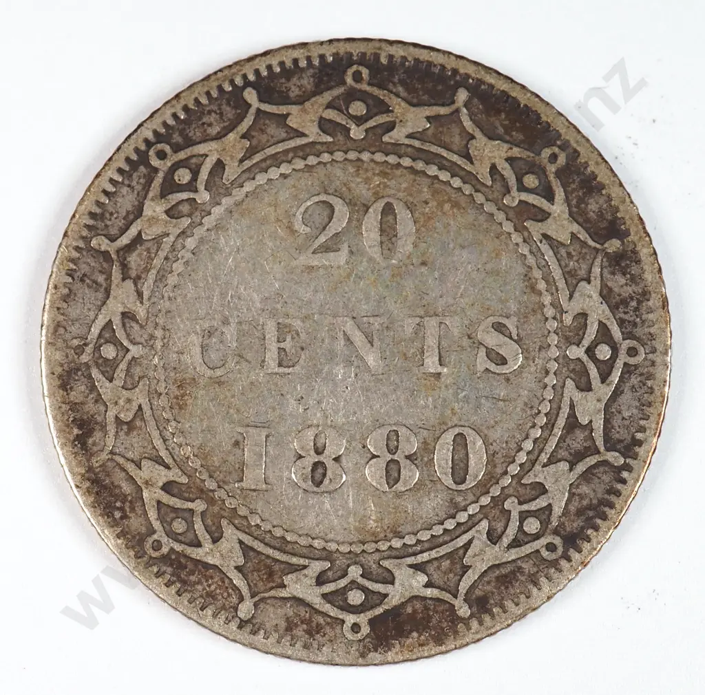 Canada 1880 Newfoundland Twenty Cents, Fine Image 1++