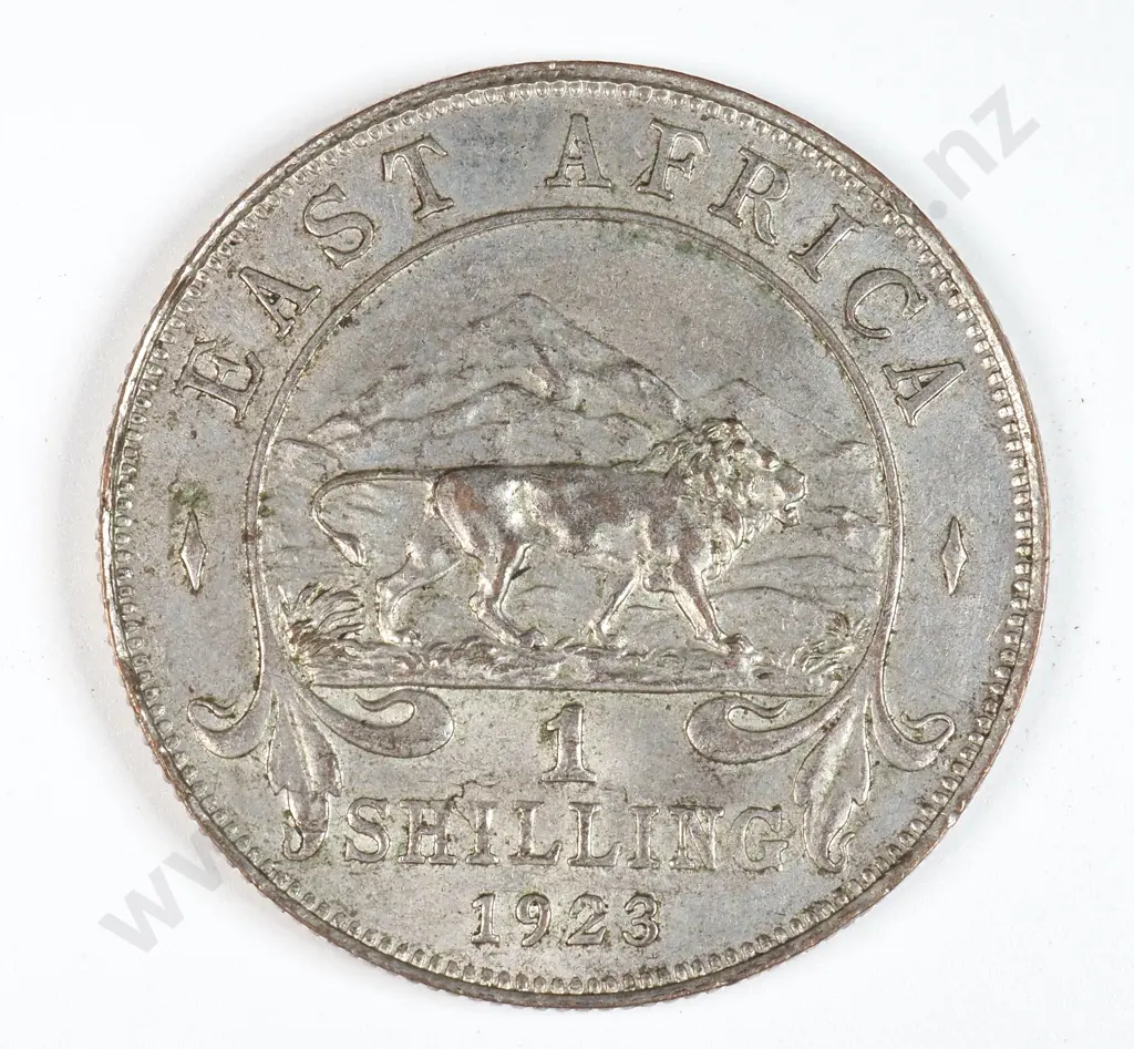 East Africa 1923 One Shilling, Extremely Fine Image 1++