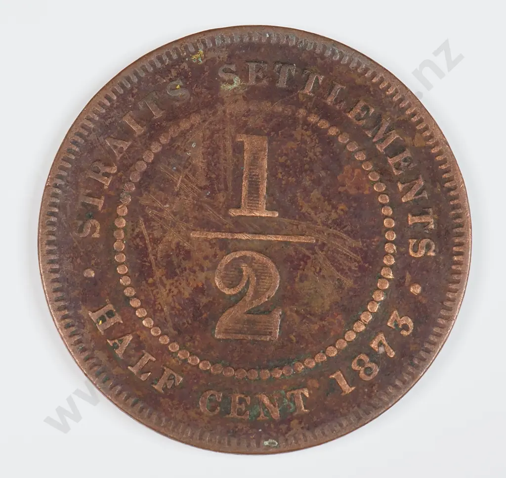 Straits Settlements 1873 Half Cent, Fine ( Cleaned ) Image 1++
