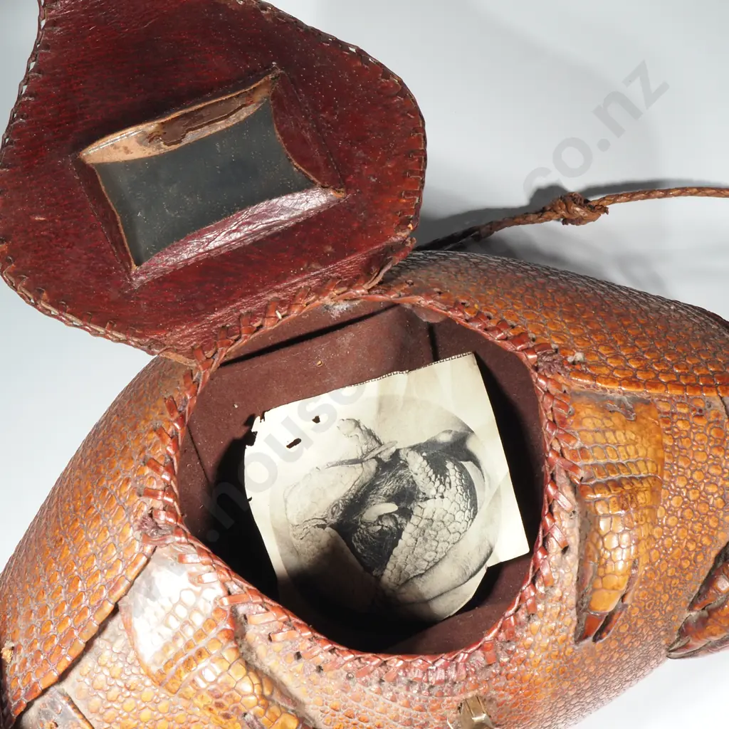 Vintage Taxidermy Armadillo handbag Image 1++