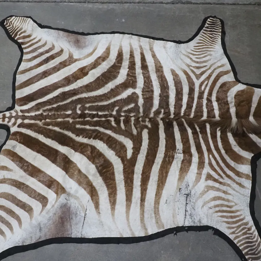 Stunning Zebra Hide Rug Image 1++