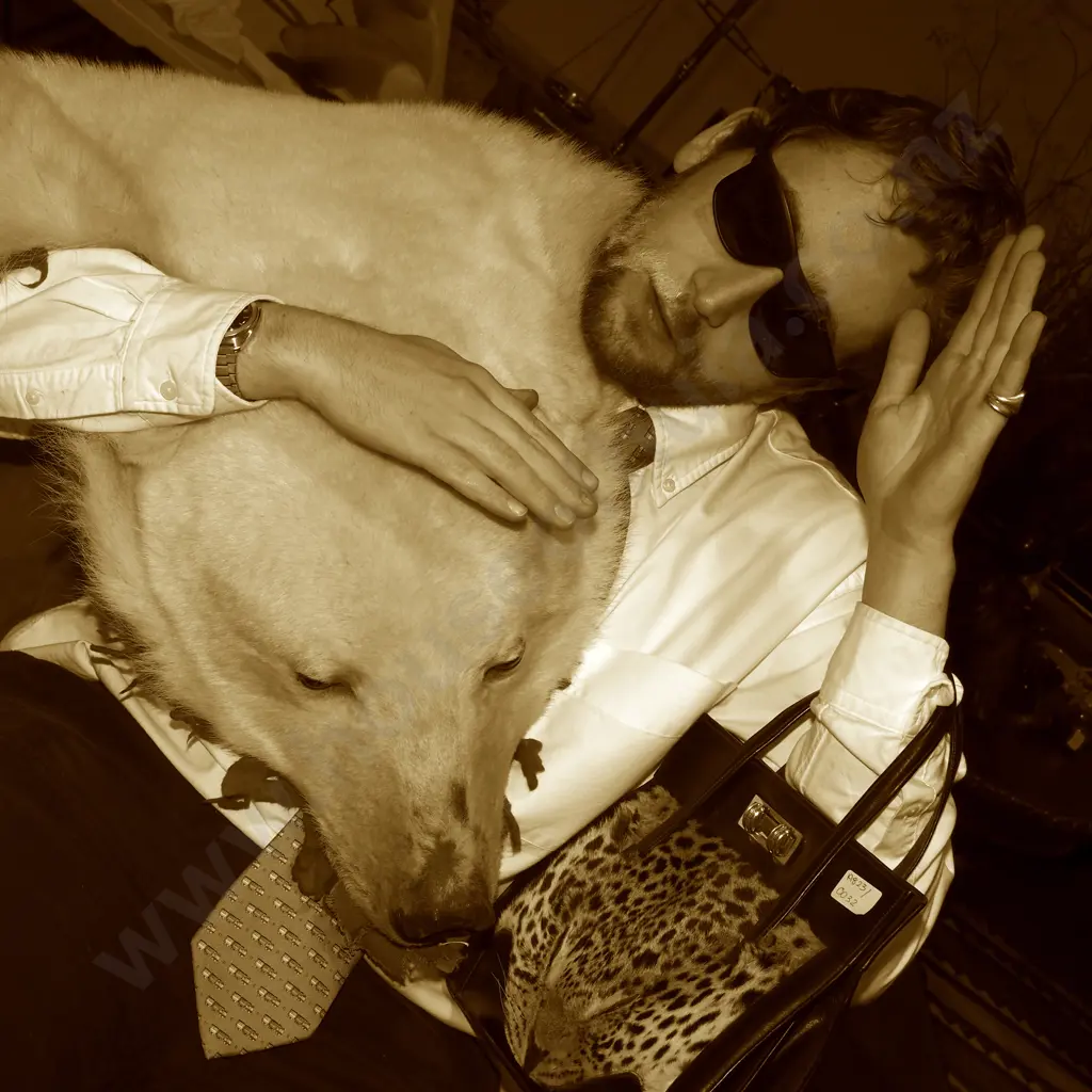 Beautiful Polar Bear Skin Rug w Mounted Head & Paws Image 1++