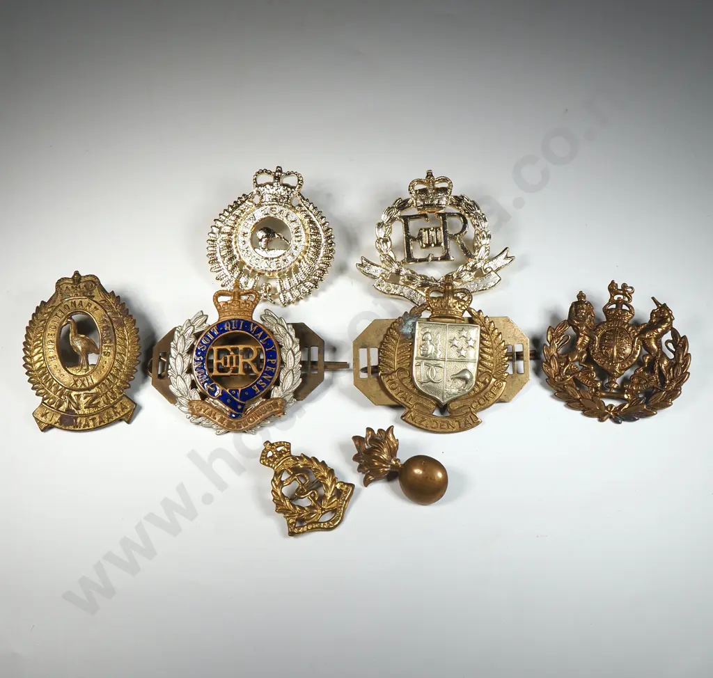 Assorted Military Cap Badges  Image 1++