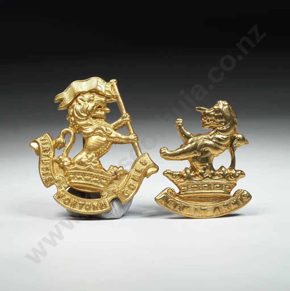 WW1 New Zealand Collar Tabs  Image 1++