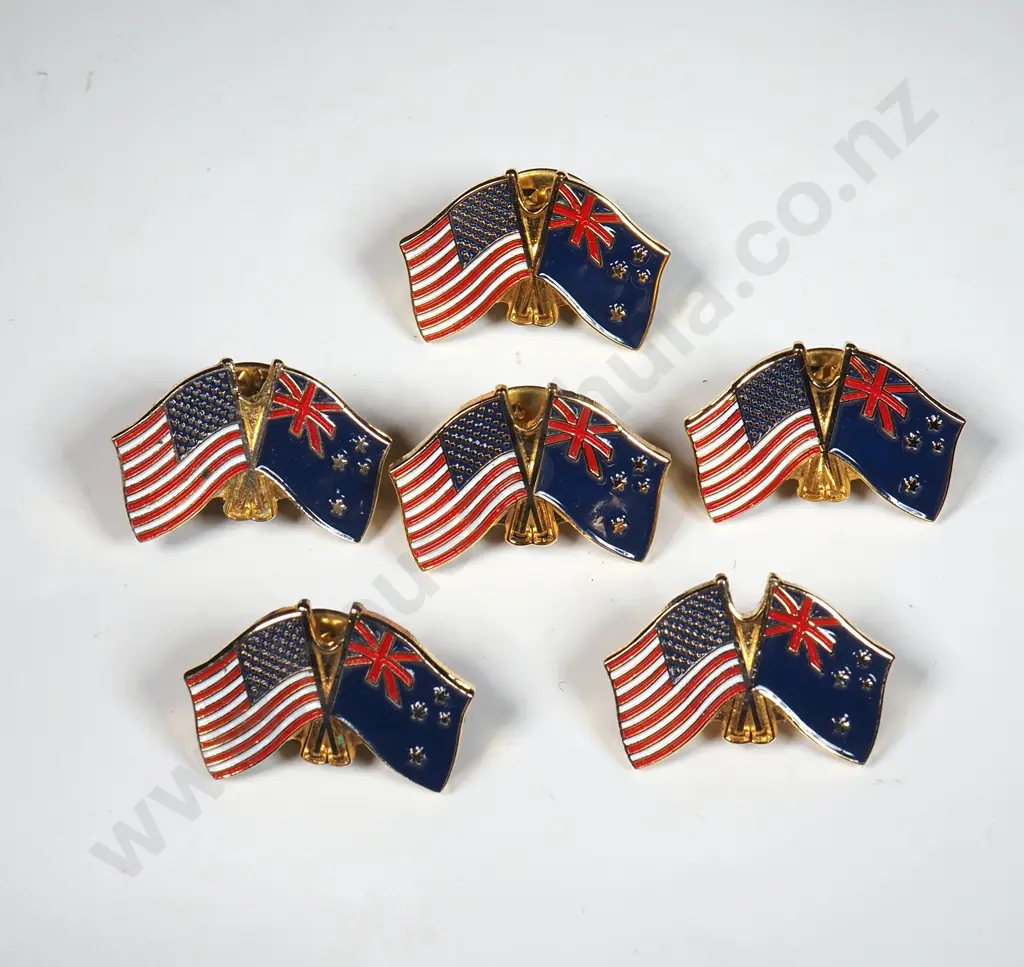 Lot of US NZ Friendship Pins  Image 1++