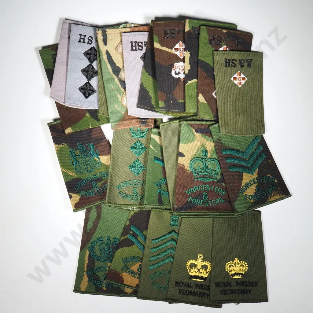 Twenty-Four British Military Epaulettes - A&SH, Royal Wessex Yeomanry, Worcesters & Foresters Image 1++