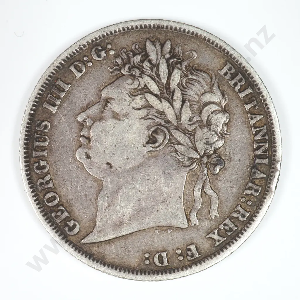 Shilling: 1825 - Fine Image 1++