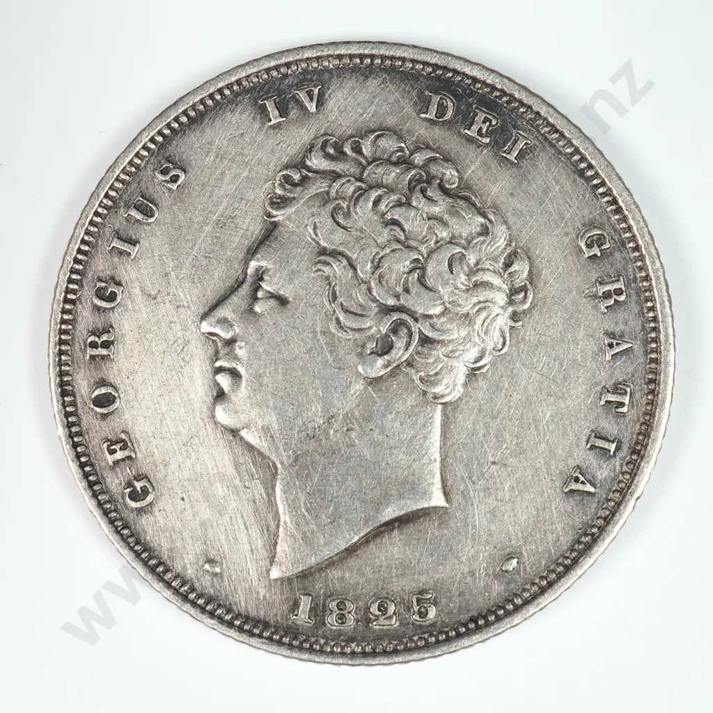 Shilling: 1825 - Very Fine Image 1++