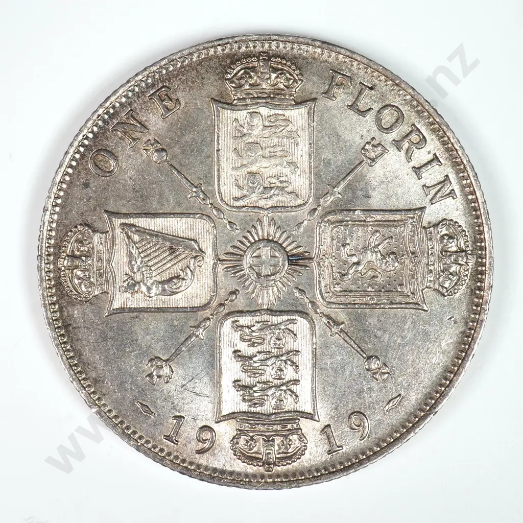 Florin: 1919 - Uncirculated Image 1++