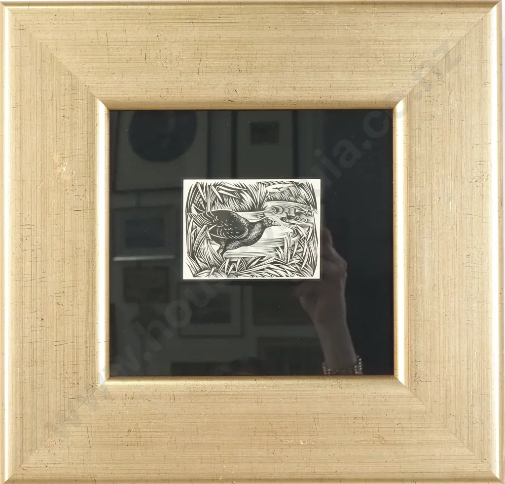 E. Mervyn Taylor - 'Pūkeko'  Engravings On Wood Image 1++