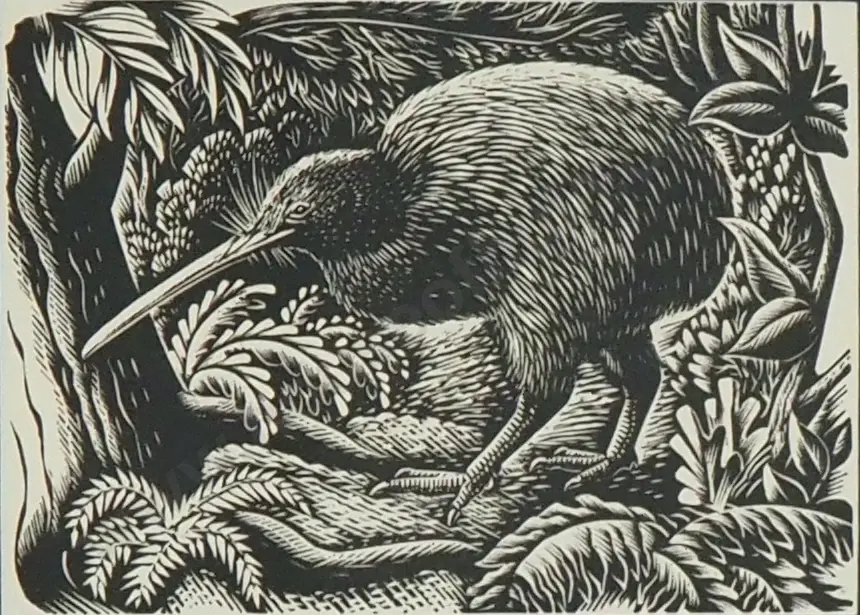 E. Mervyn Taylor - 'Kiwi',  Engravings On Wood Image 1++