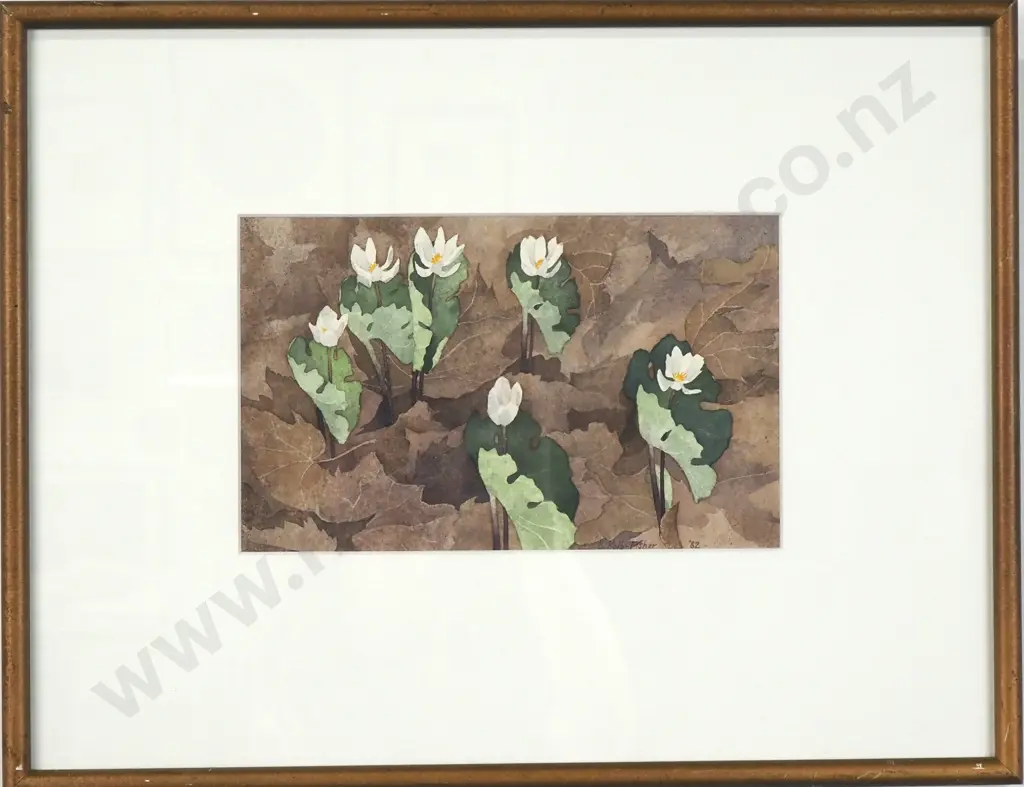 Kathleen Kolb-Fischer -Bloodroot, Watercolour (1982) Image 1++