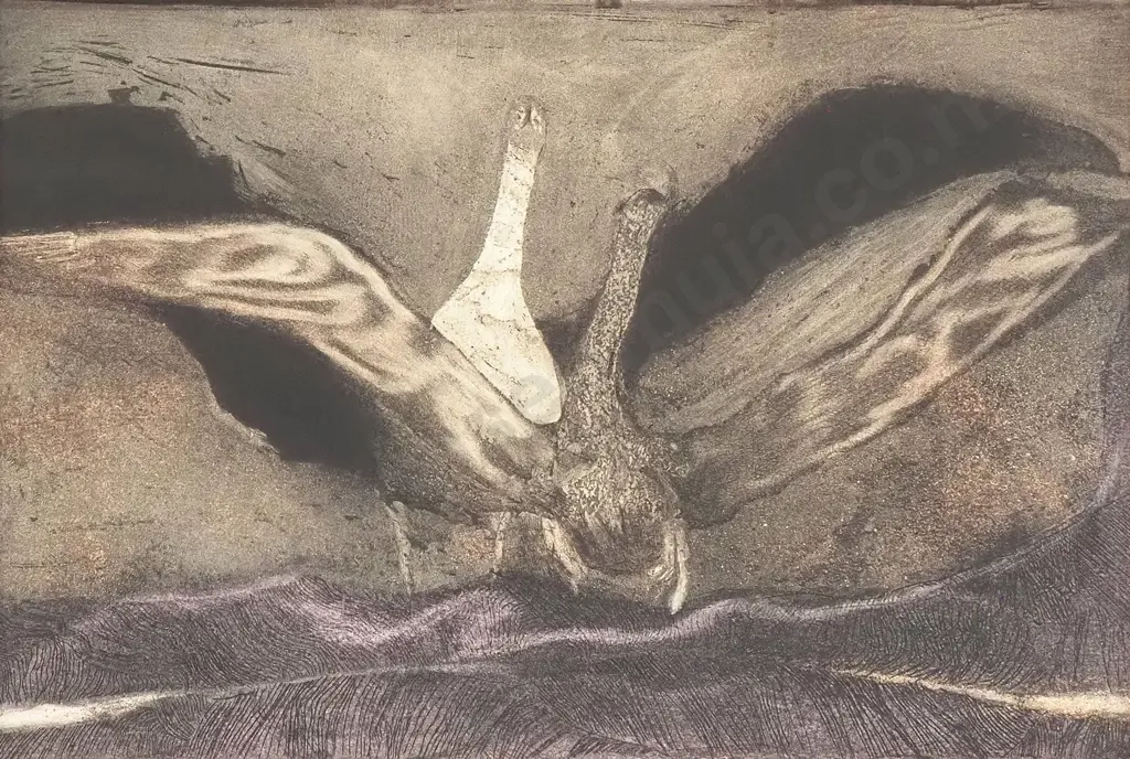 Penny Ormerod - Mating Dance Series, Etching Image 1++