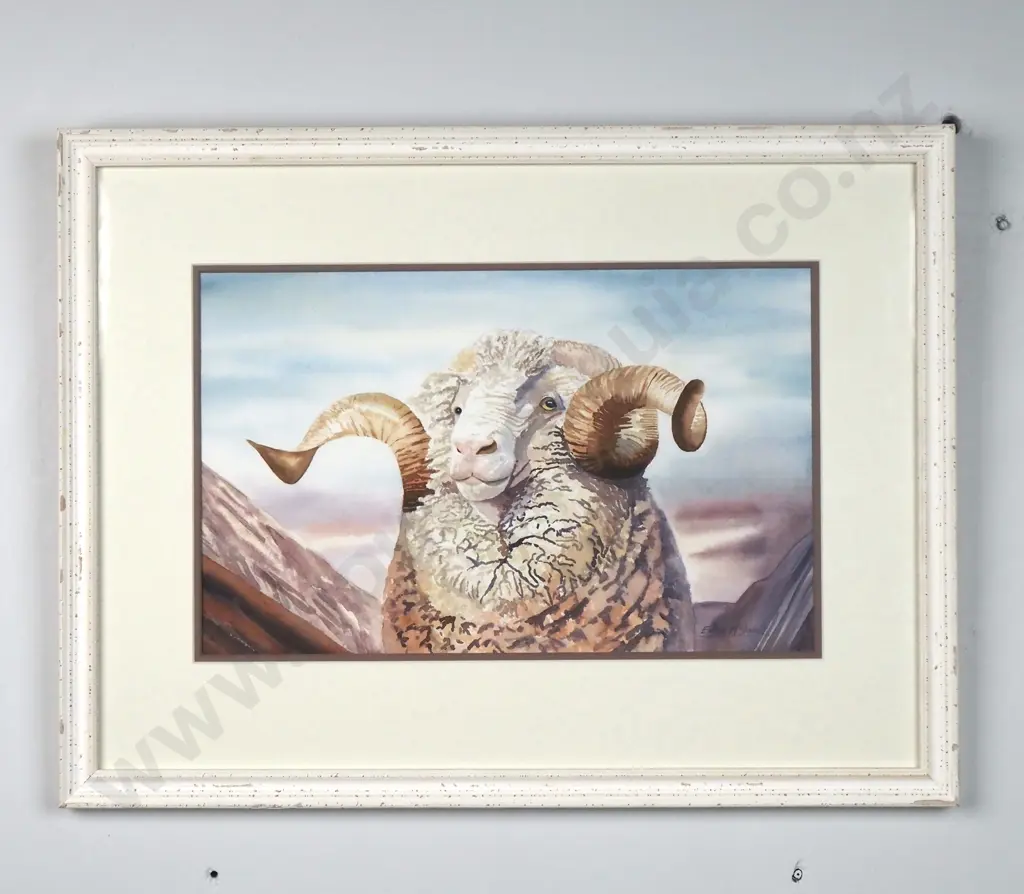 Elaine McDonald - The Pensive Ram, Watercolour Image 1++