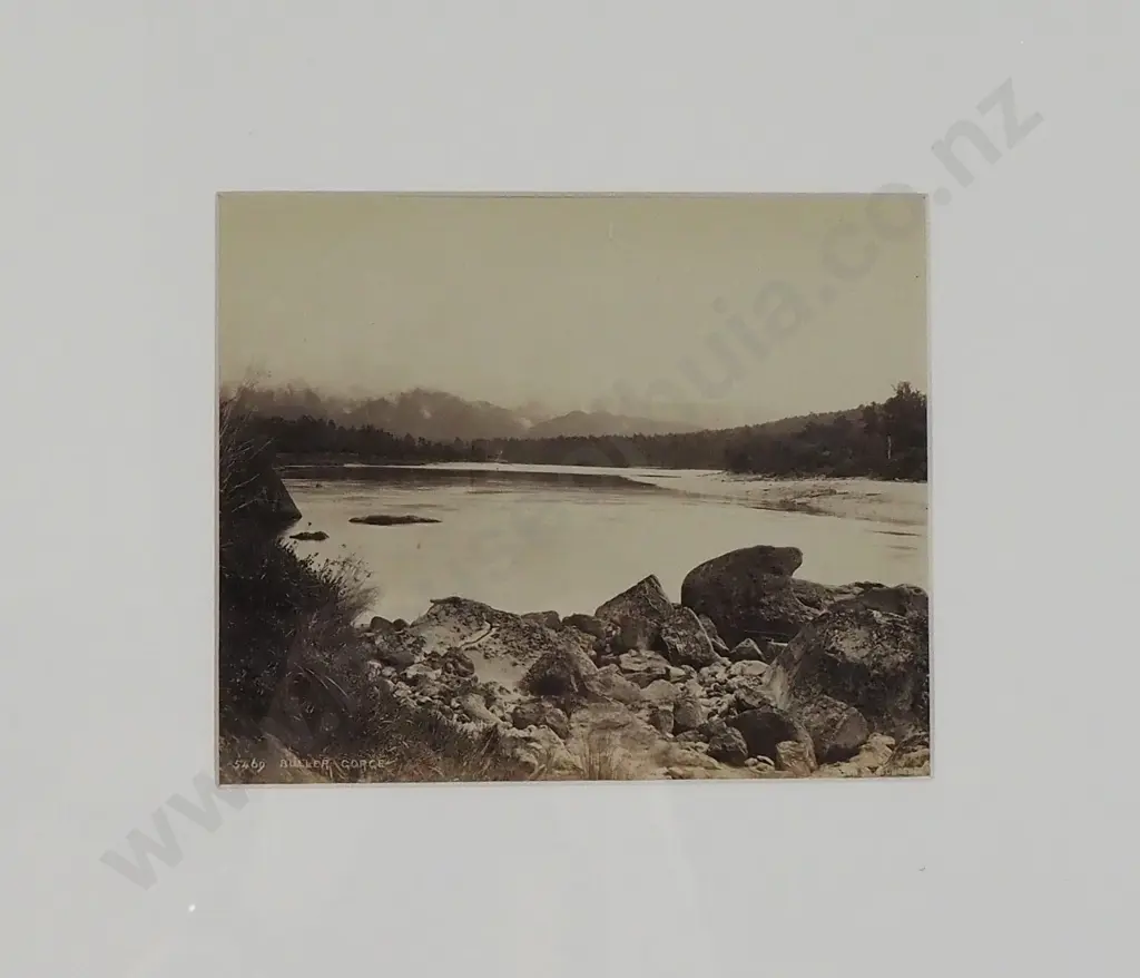 Burton Brothers - Buller Gorge, Albumen Silver Photograph Image 1++