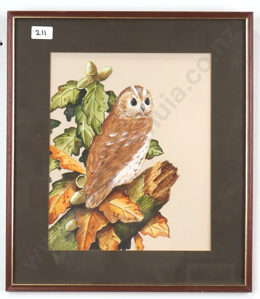 Alan Fairbrass - Owl & Acorn, Pencil & Watercolour Image 1++