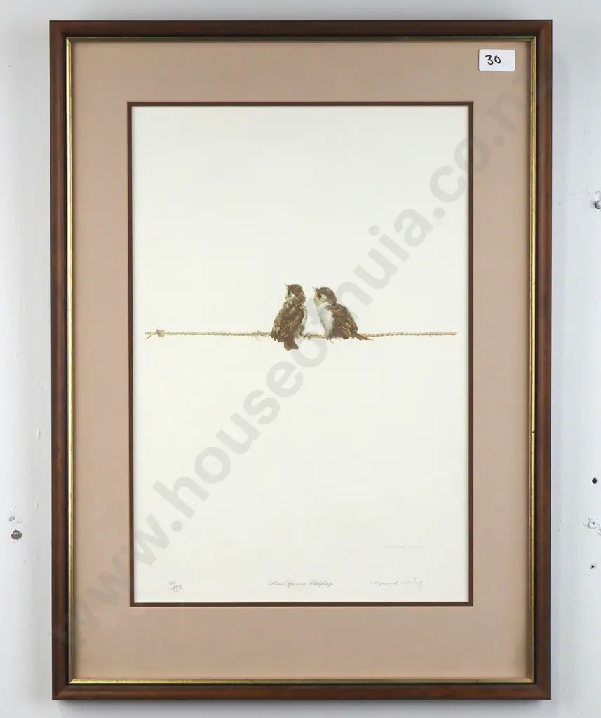 Raymond Ching - House Sparrow Fledgling, Pencil Image 1++