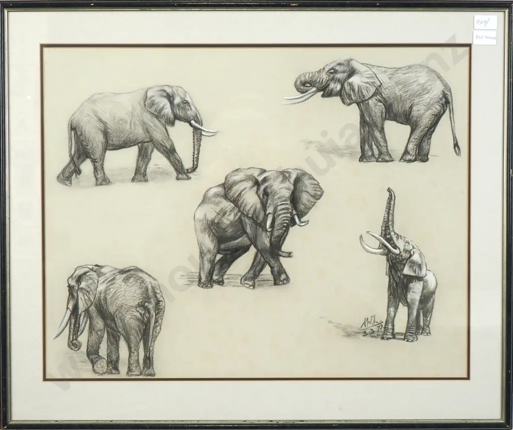 AWL - Elephants, Charcoal  '73 Image 1++