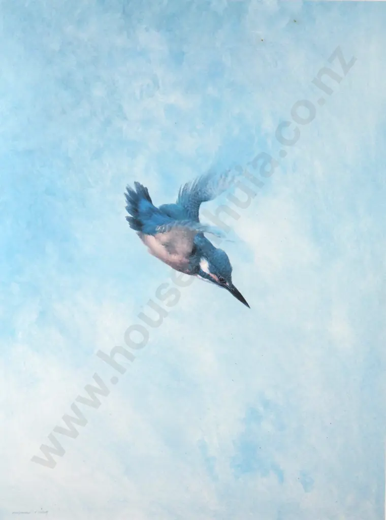 Raymond Ching - Kingfisher Diving, Print Image 1++