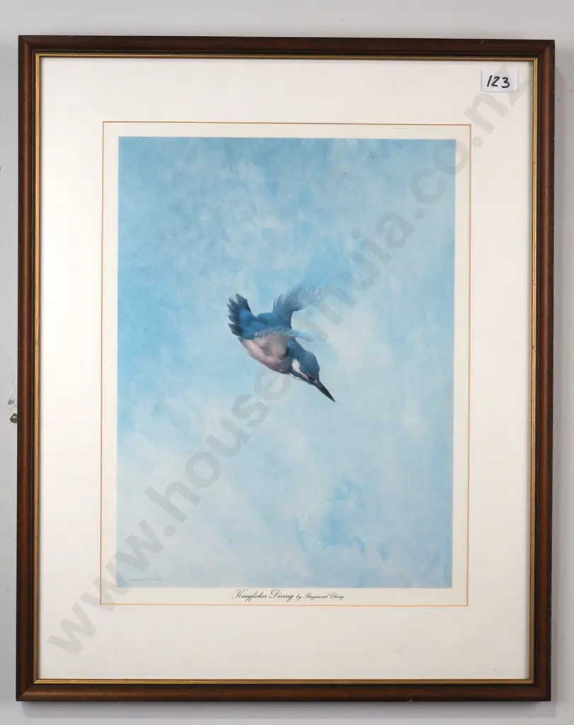 Raymond Ching - Kingfisher Diving, Print Image 1++