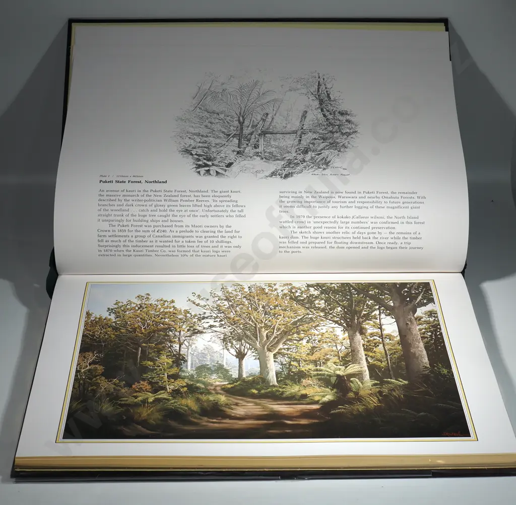 Jonathan R. White - Johnathon White's New Zealand, Book of Limited Edition Prints Image 1++