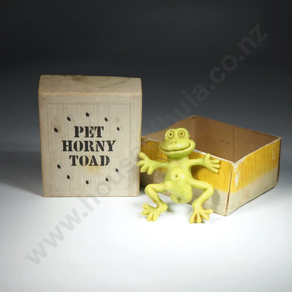 Pet Horny Toad Image 1++