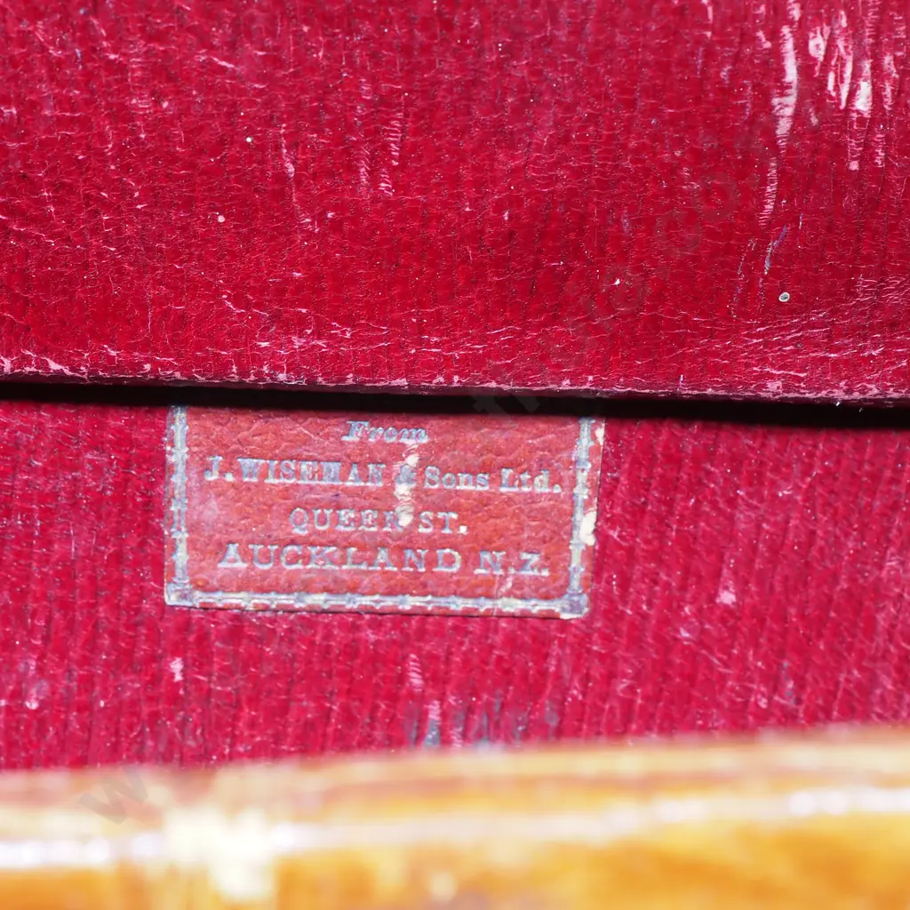 Vintage Brown Antique Alligator Skin Travel Case Briefcase Luggage Image 1++