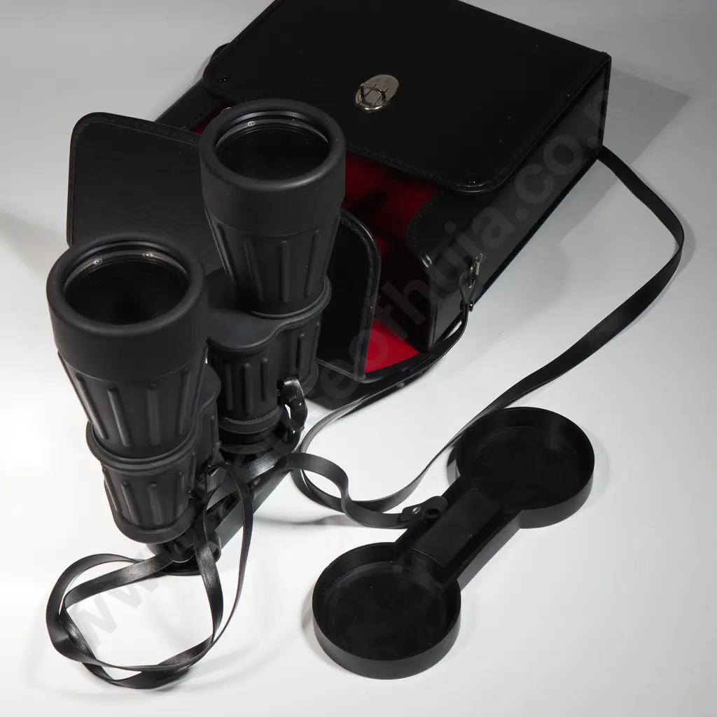 Cased Carton Binoculars 8/56 Back / Four Prisms Image 1++